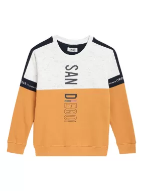 Cantabil Boys Mustard Sweatshirt